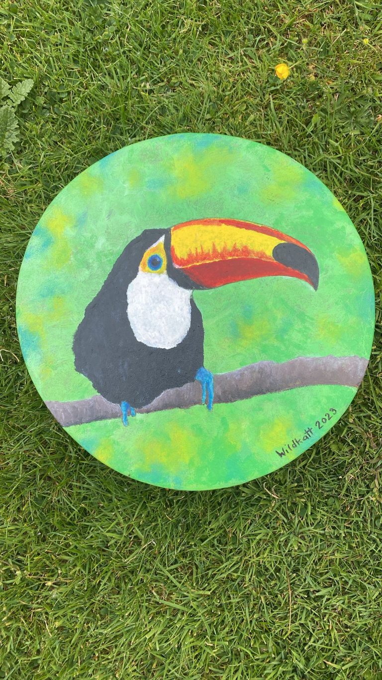 Tobias the Toucan 12″ master Healing Drum